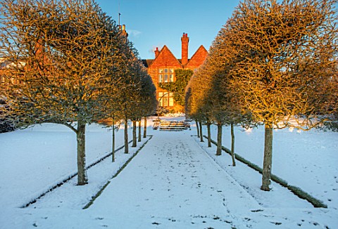 FELLEY_PRIORY_NOTTINGHAMSHIRE_WINTER__SNOW_VIEW_TO_PRIORY_ALONG_AVENUE_OF_HAWTHORN__CRATAEGUS_TANACE