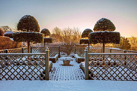 FELLEY_PRIORY_NOTTINGHAMSHIRE_WINTER__THE_WHITE_GARDEN_SNOW_FROST_CLIPPED_TOPIARY_SHAPES_OF_PHILLYRE
