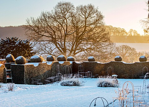 FELLEY_PRIORY_NOTTINGHAMSHIRE_WINTER__SNOW_ON_FORMAL_CLIPPED_TOPIARY_YEW_HEDGING_HEDGES_TAXUS_DECEMB