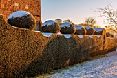 FELLEY PRIORY, NOTTINGHAMSHIRE: WINTER - SNOW. CLIPPED, TOPIARY, YEW, HEDGES, HEDGING, SUNRISE, DAWN, DECEMBER, ENGLISH, COUNTRY, GARDEN, TAXUS, FROST, FROSTY, COLD