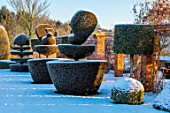 FELLEY PRIORY, NOTTINGHAMSHIRE: WINTER - SNOW. CLIPPED, TOPIARY, YEW, PEACOCKS, SUNRISE, DAWN, DECEMBER, ENGLISH, COUNTRY, GARDEN, TAXUS, FROST, FROSTY, COLD