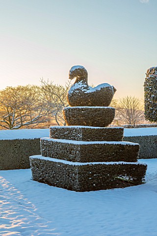 FELLEY_PRIORY_NOTTINGHAMSHIRE_WINTER__SNOW_CLIPPED_TOPIARY_YEW_SWAN_SUNRISE_DAWN_DECEMBER_ENGLISH_CO