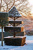 FELLEY PRIORY, NOTTINGHAMSHIRE: WINTER - SNOW. CLIPPED, TOPIARY, YEW, SUNRISE, DAWN, DECEMBER, ENGLISH, COUNTRY, GARDEN, TAXUS, FROST, FROSTY, COLD