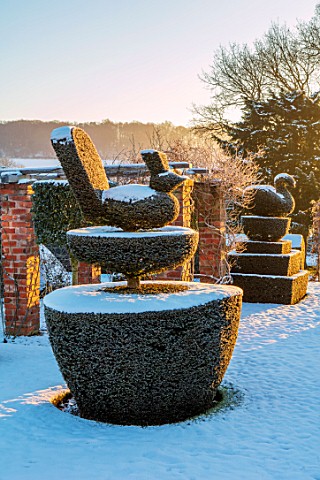 FELLEY_PRIORY_NOTTINGHAMSHIRE_WINTER__SNOW_CLIPPED_TOPIARY_YEW_PEACOCK_SWAN_SUNRISE_DAWN_DECEMBER_EN