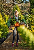 LIME CROSS NURSERY, EAST SUSSEX. WINTER, JANUARY. OWNER HELEN TATE CARRYING TERRACOTTA CONTAINERS OF CONIFERS.