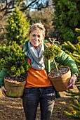 LIME CROSS NURSERY, EAST SUSSEX. WINTER, JANUARY. OWNER HELEN TATE CARRYING TERRACOTTA CONTAINERS OF CONIFERS.