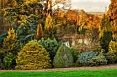 LIME CROSS NURSERY, EAST SUSSEX. WINTER, JANUARY, CONIFERS. BEDS, BORDERS, EVERGREENS, FLOWERBEDS, TREES, SHRUBS, LAKE, WATER, LAWN, GRAVEL, PATH