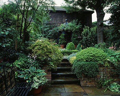 STEPS_LEAD_TO_RAISED_AREA_WITH_SECLUDED_CLIMBER_CLAD_PAGODA_HOSTA_AND_IVY_IN_POT_BESIDE_BENCH_DESIGN