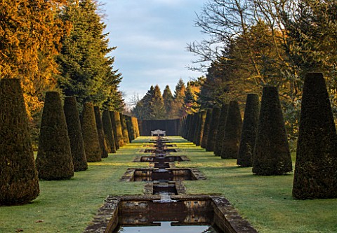THENFORD_GARDENS__ARBORETUM_NORTHAMPTONSHIRE_THE_RILL_IN_FEBRUARY
