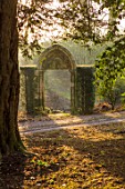 THENFORD GARDENS & ARBORETUM, NORTHAMPTONSHIRE: ARCH IN THE WOODLAND IN FEBRUARY