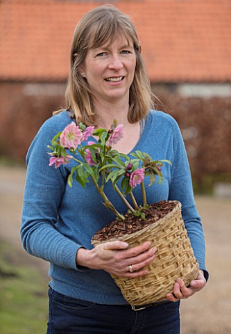 TWELVE_NUNNS_LINCOLNSHIRE_OWNER_PENNY_DAWSON_HOLDING_A_PINK_HARVINGTON_HELLEBORE_IN_CONTAINER
