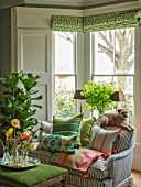 BUTTER WAKEFIELD HOUSE, LONDON: SITTING ROOM, SOFA, POPPIES IN GLASS BOTTLES, FIG, FICUS, CUSHIONS, DOG, PET