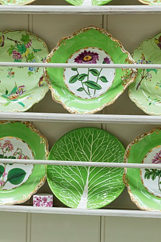 BUTTER_WAKEFIELD_HOUSE_LONDON_THE_CONSERVATORY__GREEN_PLATES_WALL_CUPBOARD