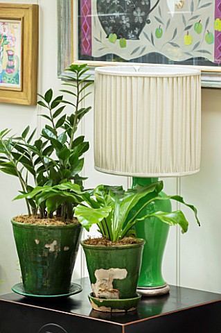 BUTTER_WAKEFIELD_HOUSE_LONDON_CONSERVATORY__GREEN_GLAZED_CONTAINERS_WITH_PRAYER_PLANTS_LIGHT_AND_SHA