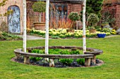 JOHN MASSEY GARDEN, ASHWOOD NURSERIES, WORCESTERSHIRE: CURVED WOODEN SEAT, BENCH, BETULA NIGRA HERITAGE, LAWN, BORDER WITH DAFFODILS - NARCISSUS TRENA, AGM, SPRING, MARCH