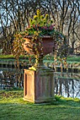 JOHN MASSEY GARDEN, ASHWOOD NURSERIES, WORCESTERSHIRE: CONTAINER BESIDE CANAL ON LAWN. HEDERA HELIX, IVY, PINUS MUGO CARSTENS WINTERGOLD, SKIMMIA JAPONICA RUBELLA
