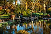 JOHN MASSEY GARDEN, ASHWOOD NURSERIES, WORCESTERSHIRE: MARCH, SPRING, WOODEN DECK, POOLS, PONDS, WATER, REFLECTIONS, REFLECTED, JETTY, CONTAINERS, DECKING, DECKED