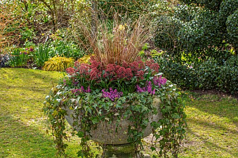 JOHN_MASSEY_GARDEN_ASHWOOD_NURSERIES_WORCESTERSHIRE_LAWN_AND_STONE_CONTAINER_PLANTED_WITH_HEDERA_HEL