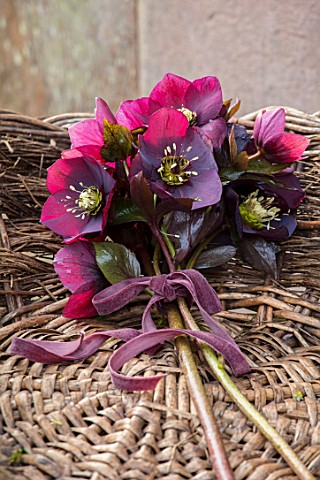 OLD_COUNTRY_FARM_WORCESTERSHIRE_BASKET_WITH_HELLEBORE_POSY_WITH_DARK_RED_PLUM_BLACK_HELEN_BALLARD_HE