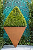 ASCOT SPRING GARDEN SHOW: DESIGNER TOM HILL. COURTYARD, SCREEN, BOX PYRAMID IN INVERTED PYRAMID IN RUSTY CORTEN STEEL CONTAINER, PLANTER, SMALL, URBAN, FORMAL, CLIPPED, TOPIARY