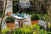 ASCOT SPRING GARDEN SHOW: THE COURTYARD DESIGNED BY JOE PERKINS: TABLE, CHAIRS, TERRACOTTA CONTAINER, CLIPPED BOX, TOPIARY, PATIO, AMELANCHIER LAMARKII, HEDGES, HEDGING, DINING