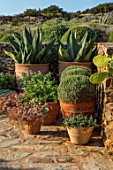 ANTIPAROS, GREECE, DESIGNER THOMAS DOXIADIS: PATIO, CACTUS GROWING IN TERRACOTTA CONTAINERS, SUCCULENTS, SPIKEY