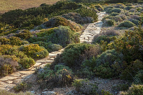 ANTIPAROS_GREECE_DESIGNER_THOMAS_DOXIADISPATH_DOWN_TO_SEA_SURROUNDED_BY_SHRUBS_DRY_GARDEN_SPRING_MED