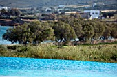 ANTIPAROS, GREECE, DESIGNER THOMAS DOXIADIS: SWIMMING POOL AND OLIVE TREES BESIDE THE SEA