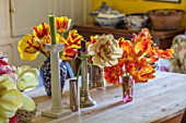 THE OLD PARSONAGE,DORSET:KITCHEN TABLE WITH COLOURFUL TULIPS IN ORANGE AND YELLOW SHADES PICKED FROM THE GARDEN IN VASES. WITH CANDLESTICKS AND CANDLES.INTERIOR,DESIGN,HOME,COUNTRY