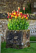PARHAM HOUSE AND GARDENS, SUSSEX: STONE TROUGH, CONTAINER PLANTED WITH TULIPS - TULIPA EL NINO, RED PROUD, GOLDEN APELDOORN, BALLERINA