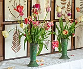WARDINGTON MANOR, OXFORDSHIRE: SPRING, TULIPS IN VASES, FLOWERS, INDOORS, PINK TULIPS, FERN PRINTS, DINING ROOM