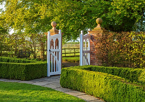 MITTON_MANOR_STAFFORDSHIRE_CLIPPED_TOPIARY_BOX_HEDGING_WHITE_GATE_MORNING_LIGHT_DAWN_SUNRISE_HEDGES_