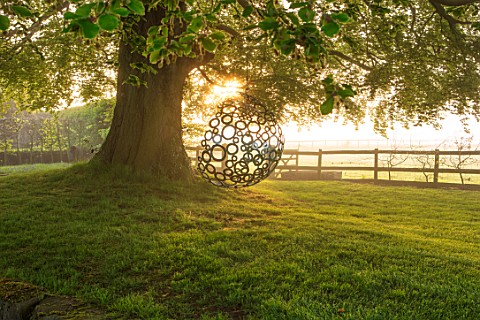 MITTON_MANOR_STAFFORDSHIRE_BEECH_TREE_AND_BUBBLE_SWING_SEAT_BY_MYBURGH_DESIGNS_MORNING_LIGHT_DAWN_SU