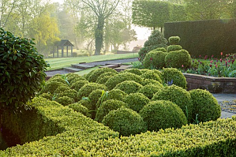 MITTON_MANOR_STAFFORDSHIRE_CLOUD_TOPIARY_BOX_SPHERES_TOPIARY_GARDEN_FORMAL_COUNTRY_HEDGES_HEDGING_EV