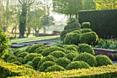MITTON MANOR, STAFFORDSHIRE: CLOUD TOPIARY BOX SPHERES, TOPIARY GARDEN, FORMAL, COUNTRY, HEDGES, HEDGING, EVERGREEN, SPRING