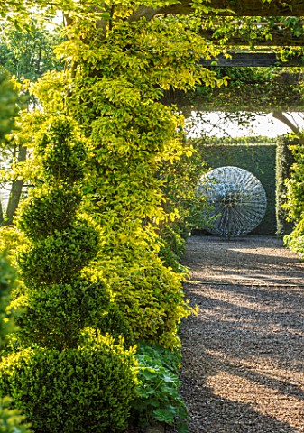 MITTON_MANOR_STAFFORDSHIRE_PATH_GRAVEL_TOPIARY_AVENUE_FORMAL_COUNTRY_BOX_TOPIARY_HEDGES_HEDGING_EVER