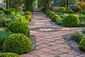 MITTON MANOR, STAFFORDSHIRE: FORMAL BOX TOPIARY GARDEN, SPRING, PATH, CLIPPED, BOX, BUXUS, HEDGES, MOUNDS, HEDGING, GREEN, EVERGREENS, EUPHORBIAS, COUNTRY, ENGLISH, CLASSIC
