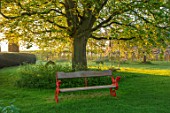 THE MANOR HOUSE, STEVINGTON, BEDFORDSHIRE: LAWN, TREE AND DRAGON SEAT, BENCHES, SPRING