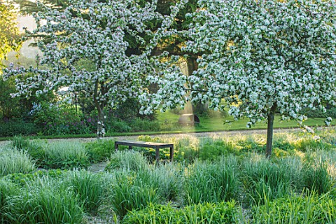 THE_MANOR_HOUSE_STEVINGTON_BEDFORDSHIRE_WOODEN_BENCH_WITH_CALAMAGROSTIS_ACUTIFLORA_OVERDAM_IN_SPRING