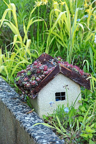 THE_MANOR_HOUSE_STEVINGTON_BEDFORDSHIRE_STONE_SINK_CONTAINER_WITH_HOUSE_ROOF_COVERED_IN_SEMPERVIVUMS