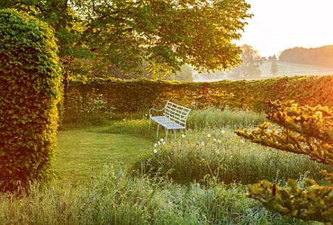THE_MANOR_HOUSE_STEVINGTON_BEDFORDSHIRE_EARLY_MORNING_VIEW_OF_WHITE_BENCH_SEAT_BESIDE_HEDGE_HEDGING