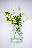 AVONDALE NURSERIES, COVENTRY: LILY-OF-THE-VALLEY - CONVALLARIA MAJALIS, IN GLASS BOTTLE, VASE, PETALS, FLOWERS, BULBS, LILY, OF, THE, VALLEY, SPRING, WHITE, STILL LIFE