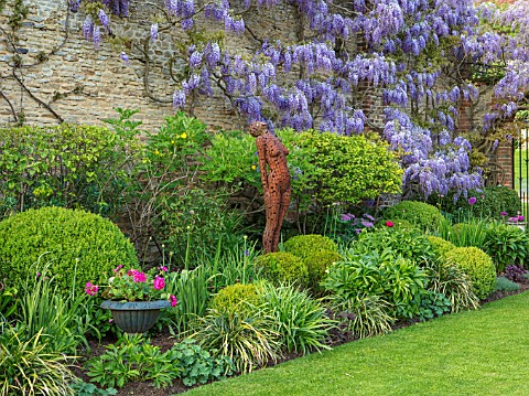 CHILWORTH_MANOR_SURREY_LAWN_WALLED_GARDEN_PURPLE_WISTERIA_CLIMBING_OVER_WALL_METAL_SCULPTURE_OF_WOMA