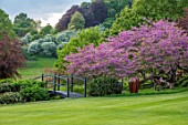CHILWORTH MANOR, SURREY: LAWN, BLACK WOODEN BRIDGE, EASTERN REDBUD - CERCIS CANADENSIS, EMPTY CONTAINER