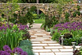 THE MOONGATE GARDEN, SUSSEX: PATH, BORDERS IN SPRING OF ALLIUM FIRMAMENT WITH PURBECK STONE WALL, MOONGATE, BOUNDARY, BOUNDARIES, BULBS, PURPLE, FLOWERING. SPRING