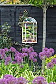 THE MOONGATE GARDEN, SUSSEX: ALLIUM FIRMAMENT, BLACK PAINTED FENCE, MIRRORS, BOUNDARY, BOUNDARIES, BULBS, REFLECTIONS, REFLECTED, SPRING