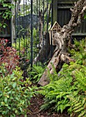 THE MOONGATE GARDEN, SUSSEX: BLACK FENCE, FENCING, BOUNDARY, BOUNDARIES,  GREEN FERNS, TREE TRUNK, MIRROR, SHADY, WOODLAND, SHADE