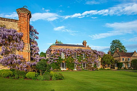 CHILWORTH_MANOR_SURREY_LAWN_HOUSE_AND_WALLED_GARDEN_WITH_PURPLE_WISTERIA_CLIMBING_UP_WALLS