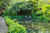 CHILWORTH MANOR, SURREY: ORIGINAL MONASTIC STEWPOND WITH GUNNERA MANICATA AND DECKING AREA WITH WOODEN SEATS, SPRING