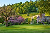 CHILWORTH MANOR, SURREY: LAWN, EASTERN REDBUD - CERCIS CANADENSIS, WALLED GARDEN WITH CLIMBING PURPLE WISTERIA, BORROWED LANDSCAPE
